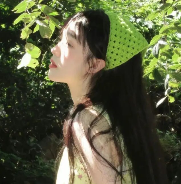 野探哈莉第四季